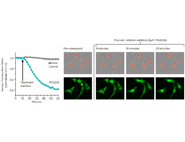 賽多利斯Incucyte
